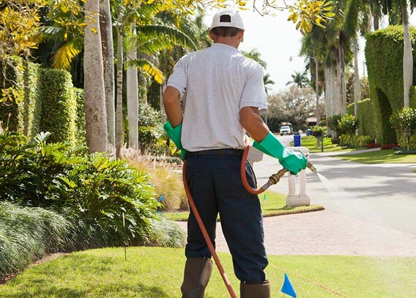 About Towanda KS Pest Control